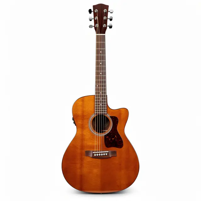 Acoustic Guitar Parlor