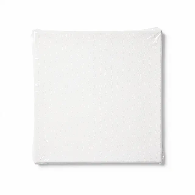 Canvas Panel Pack 12 Assorted