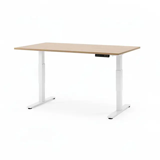 Electric Standing Desk Dual-Motor
