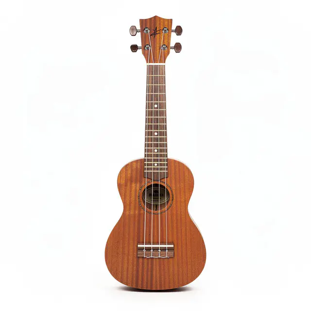 Ukulele Concert Kids